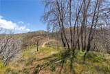 39 Acres Buckingham Mountain Road - Photo 62