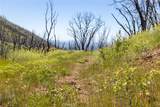 39 Acres Buckingham Mountain Road - Photo 67