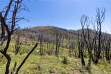 39 Acres Buckingham Mountain Road - Photo 69