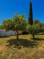 14744 Roberto Rio Road - Photo 39