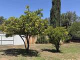 14744 Roberto Rio Road - Photo 44