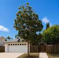 14744 Roberto Rio Road - Photo 6