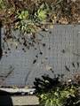 15897 Oak Tree - Photo 14
