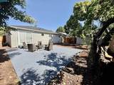 355 Lofas Pl - Photo 26