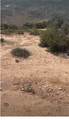 1 Mcconneny Road - Photo 1