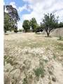 15503 Tern Street - Photo 7