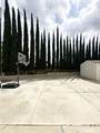 15503 Tern Street - Photo 4
