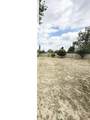 15503 Tern Street - Photo 6