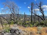 55 Cedar Tree - Photo 14