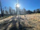 55 Cedar Tree - Photo 15