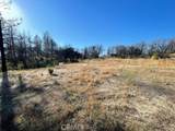 55 Cedar Tree - Photo 16
