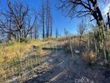 55 Cedar Tree - Photo 17