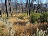 55 Cedar Tree - Photo 18