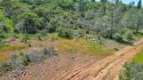 12934 Wild Acres Way - Photo 22