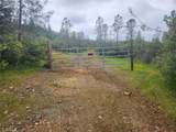 12934 Wild Acres Way - Photo 29