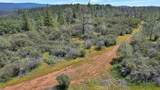 12934 Wild Acres Way - Photo 3