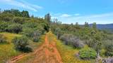 12934 Wild Acres Way - Photo 5