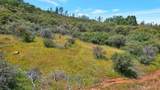 12934 Wild Acres Way - Photo 6