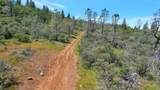12934 Wild Acres Way - Photo 7