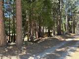 42 South Fork Trail - Photo 22