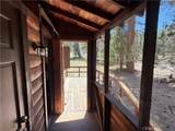 42 South Fork Trail - Photo 5