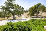 29657 Lilley Mountain - Photo 52