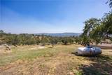 29657 Lilley Mountain - Photo 56