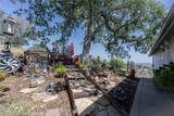 29657 Lilley Mountain - Photo 60