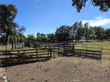 23773 River Rd - Photo 51