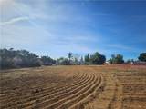24208 Dracaea Avenue - Photo 8