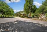 50780 Rosemary - Photo 3