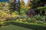 3907 Happy Valley Rd - Photo 38