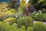 3907 Happy Valley Rd - Photo 52