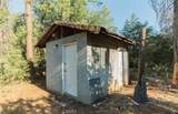 10902 Stout Lane - Photo 8