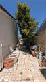 20129 Drasin - Photo 34