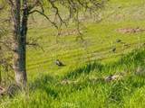 18920 Reeds Creek Road - Photo 70
