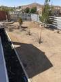232 Fredricks Street - Photo 17