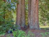 28680 Comptche Ukiah Road - Photo 36