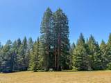 28680 Comptche Ukiah Road - Photo 7