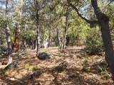 52547 Pine Cove - Photo 17