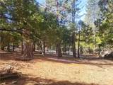 52547 Pine Cove - Photo 35