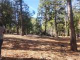 52547 Pine Cove - Photo 40