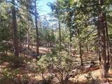 52547 Pine Cove - Photo 48