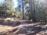 52547 Pine Cove - Photo 50