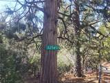 52547 Pine Cove - Photo 52
