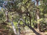 52547 Pine Cove - Photo 54
