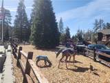 52547 Pine Cove - Photo 59
