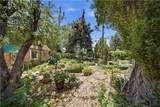 1000 Sequoia - Photo 29