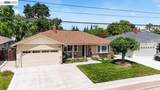 3668 Oregon Way - Photo 9