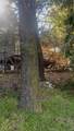 342 Canyon Dr - Photo 5